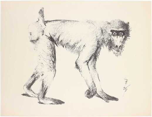 Шендеров Александр Семёнович. Дрил